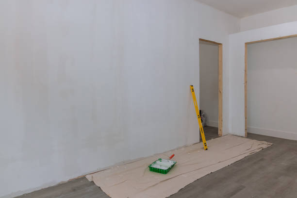 Best Water Damage & Mold Remediation  in Lone Tree, IA