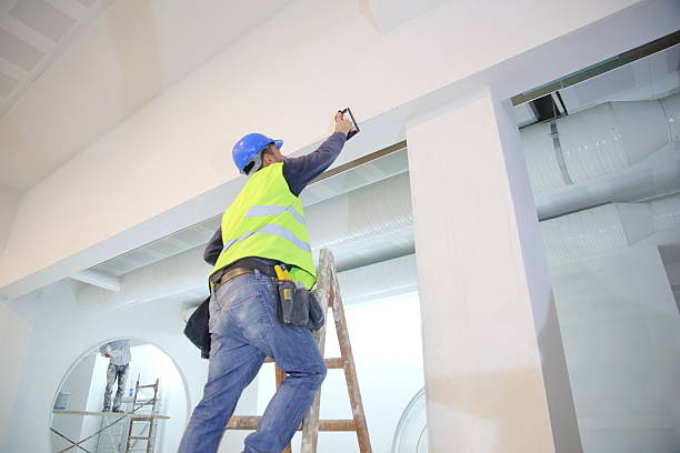 Best Mold Damage Restoration  in Lone Tree, IA